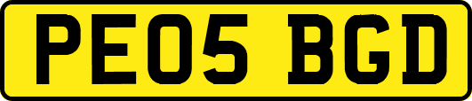 PE05BGD