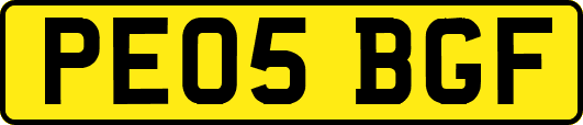 PE05BGF