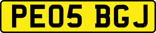 PE05BGJ