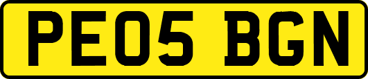PE05BGN