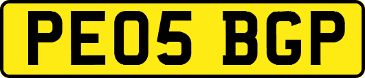 PE05BGP