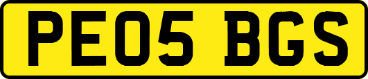 PE05BGS