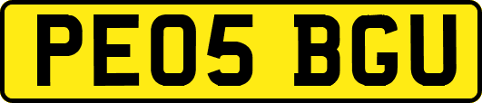 PE05BGU