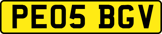 PE05BGV