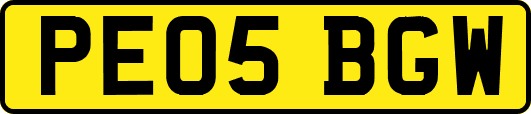 PE05BGW