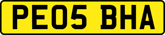 PE05BHA