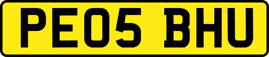PE05BHU
