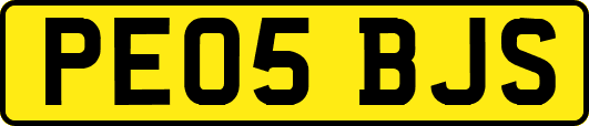 PE05BJS