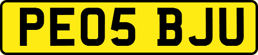 PE05BJU