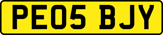 PE05BJY