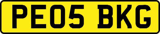 PE05BKG