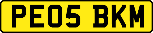 PE05BKM