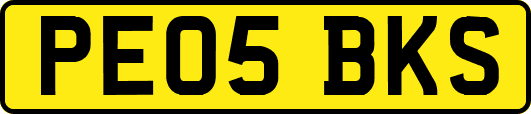 PE05BKS