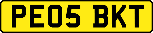 PE05BKT