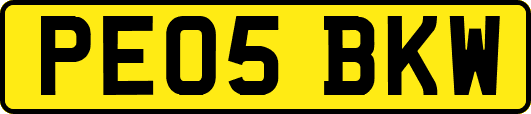 PE05BKW
