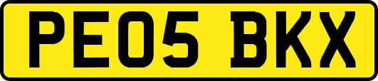 PE05BKX
