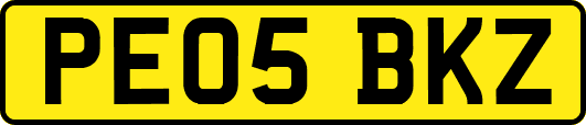 PE05BKZ