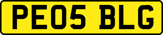 PE05BLG