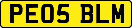 PE05BLM