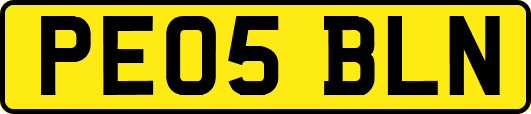 PE05BLN