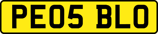 PE05BLO