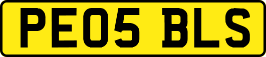 PE05BLS