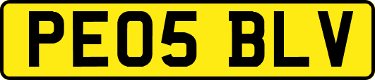 PE05BLV