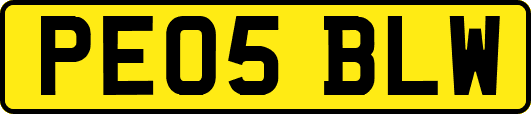 PE05BLW