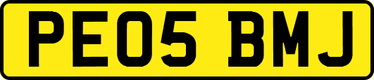 PE05BMJ