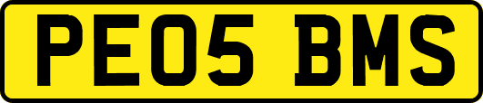 PE05BMS