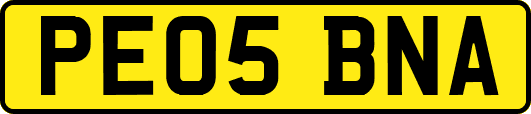 PE05BNA