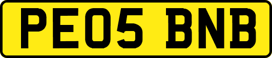 PE05BNB