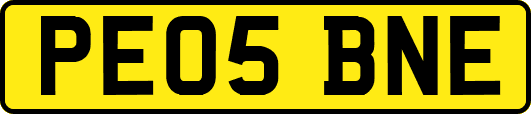 PE05BNE