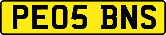 PE05BNS