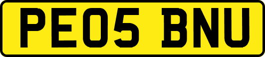 PE05BNU