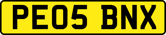 PE05BNX