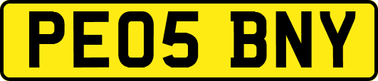 PE05BNY