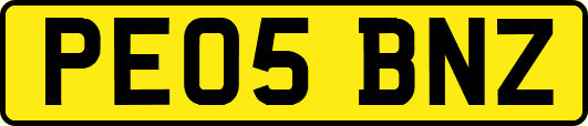 PE05BNZ
