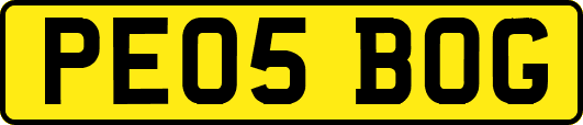 PE05BOG