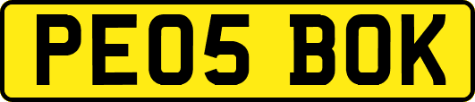 PE05BOK