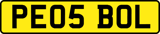 PE05BOL