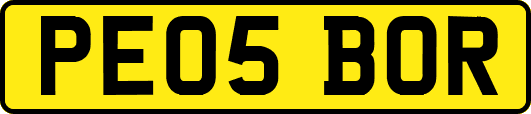 PE05BOR