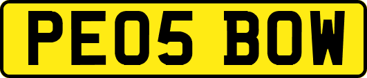 PE05BOW