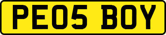 PE05BOY