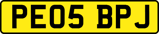 PE05BPJ