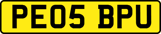 PE05BPU