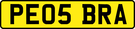 PE05BRA