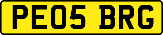 PE05BRG