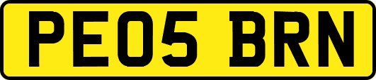 PE05BRN