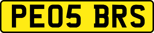 PE05BRS